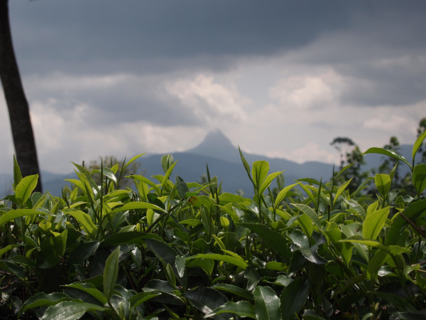Adams-Peak-5