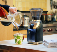 Baratza Virtuoso+ Koffiemolen